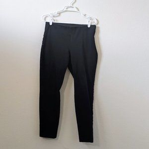 A New Day Highrise Pixie Pant, Women's 8